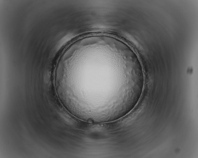 X0000101151259200807071141