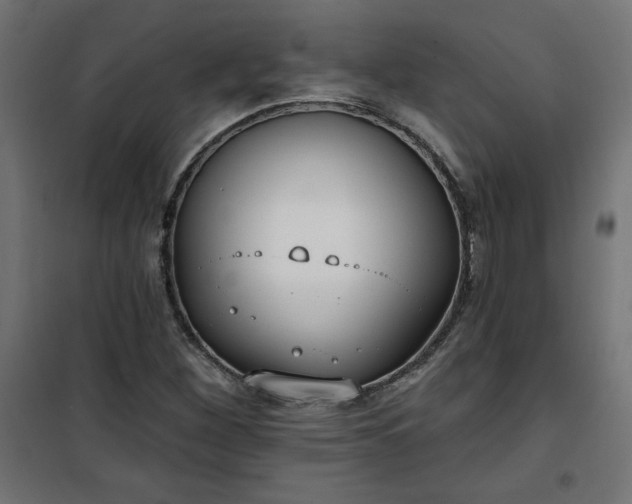 X0000101151260200807071141