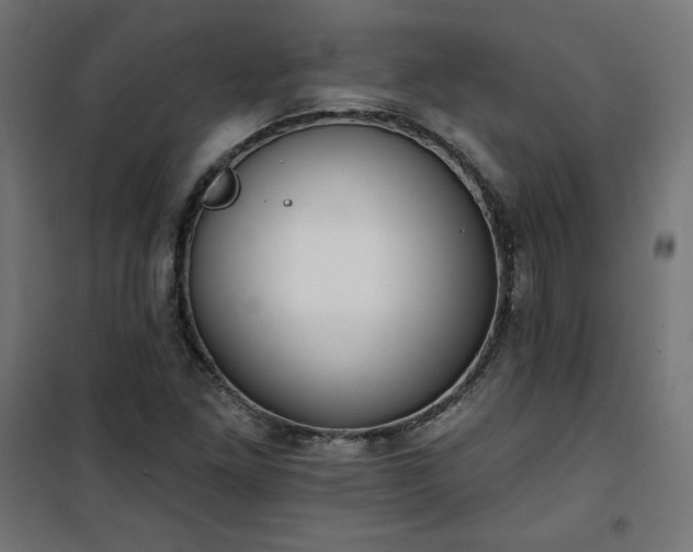 X0000101151261200807071141