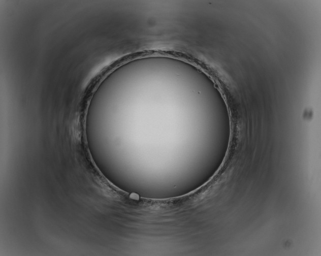 X0000101151262200807071141