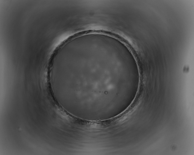 X0000101151263200807071141