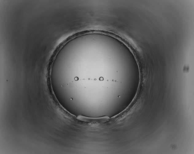 X0000101151264200807071141