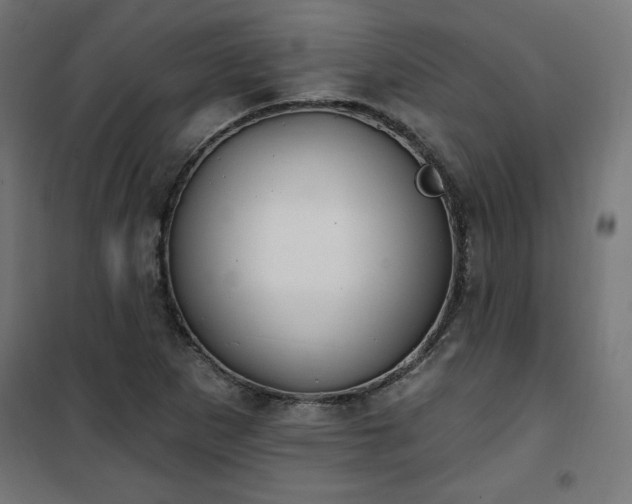 X0000101151265200807071141