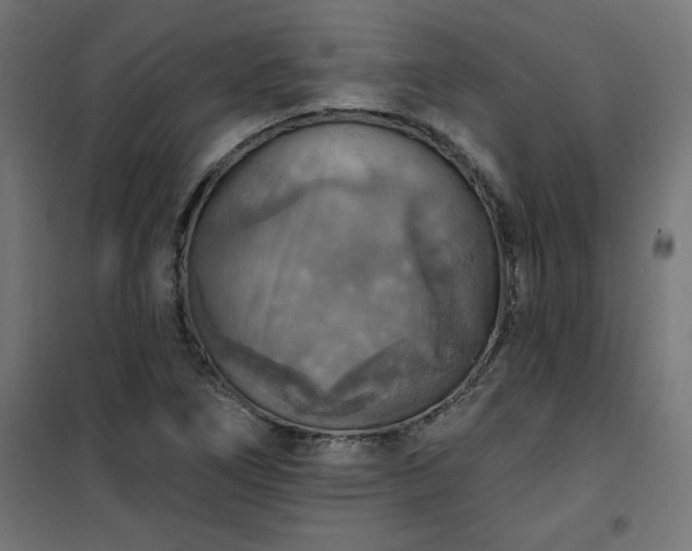 X0000101151266200807071141