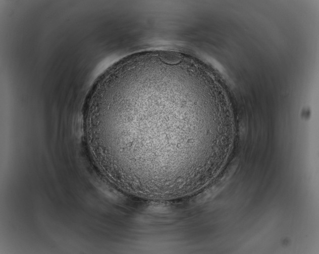 X0000101151267200807071141