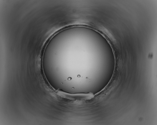 X0000101151268200807071141