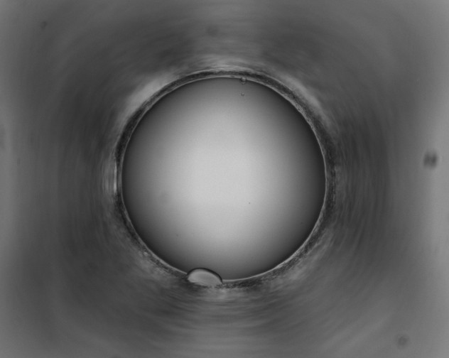 X0000101151269200807071141