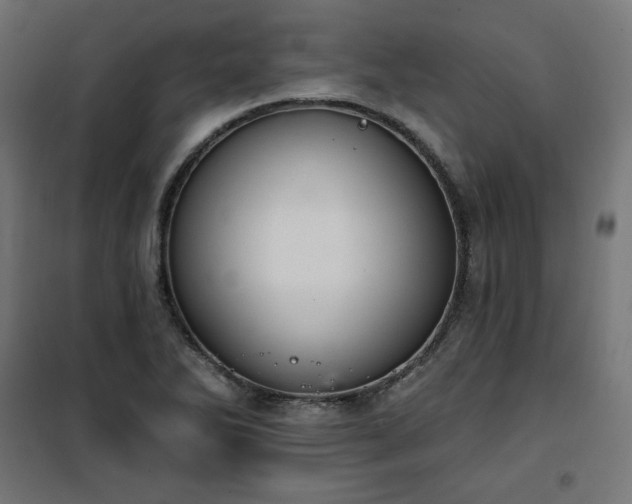 X0000101151270200807071141