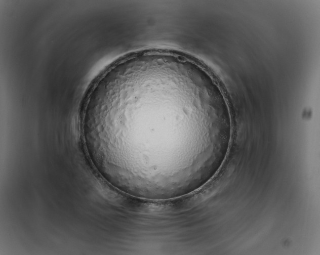 X0000101151271200807071141