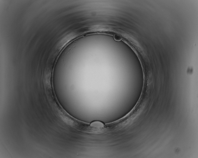 X0000101151273200807071141