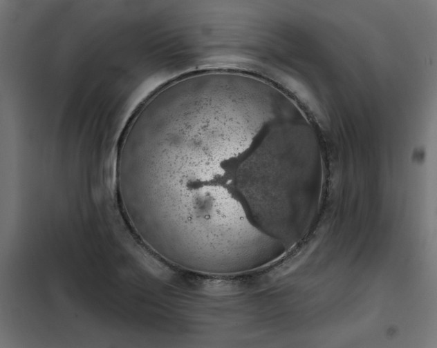 X0000101151275200807071140