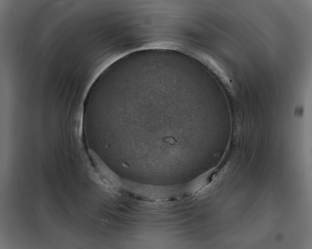 X0000101151276200807071140