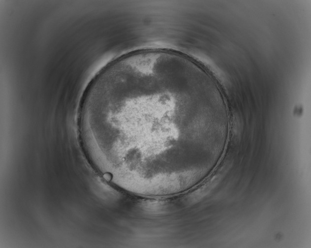 X0000101151278200807071140