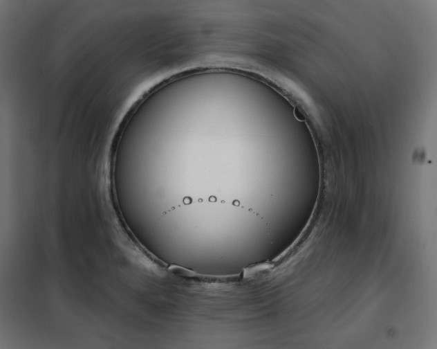 X0000101151280200807071140