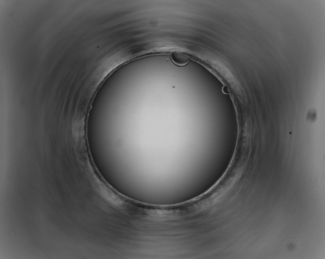 X0000101151281200807071140