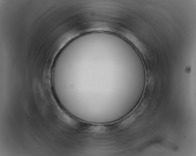 X0000101151282200807071140