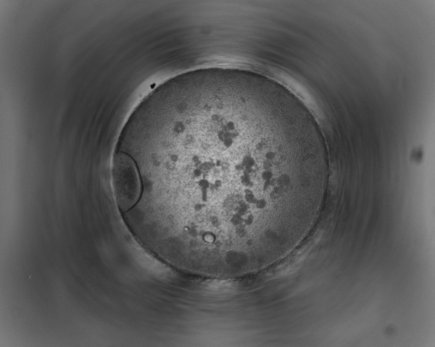 X0000101151283200807071140