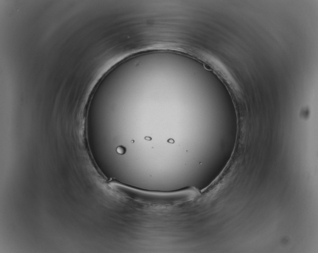 X0000101151284200807071140