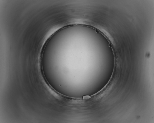 X0000101151285200807071140