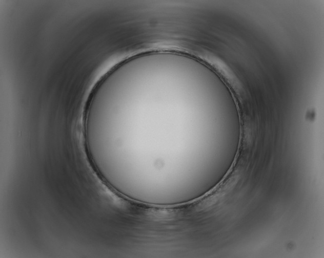 X0000101151286200807071140