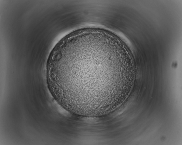 X0000101151287200807071140