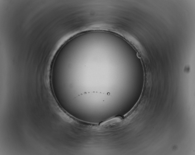 X0000101151288200807071140