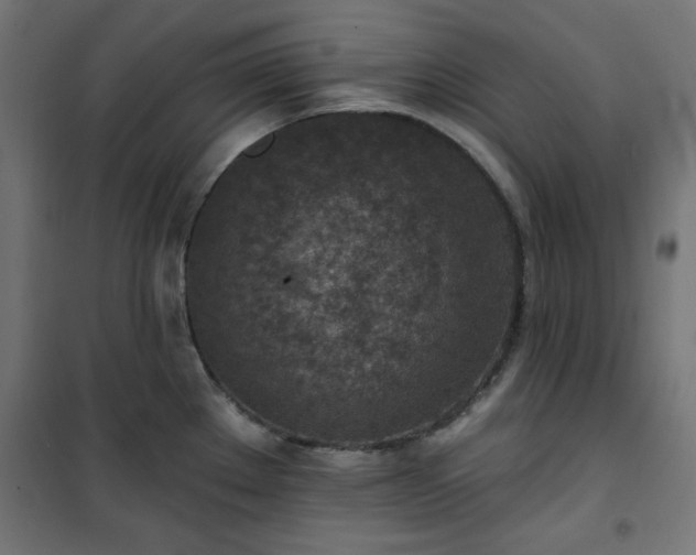 X0000101151289200807071140