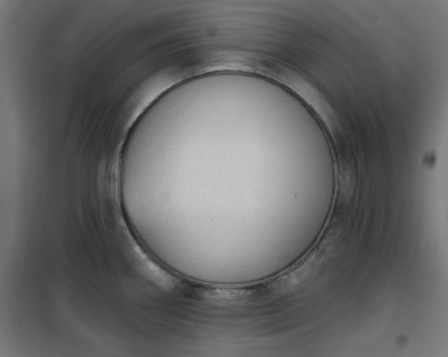 X0000101151290200807071140