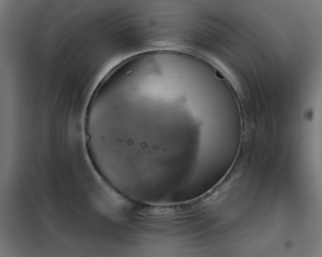 X0000101151291200807071140