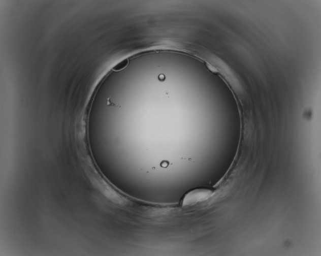 X0000101151292200807071140