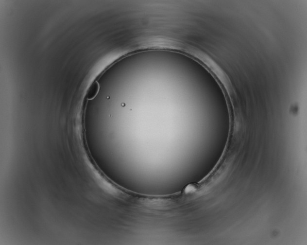 X0000101151293200807071140