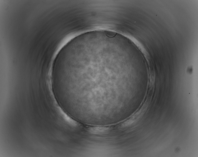 X0000101151294200807071140