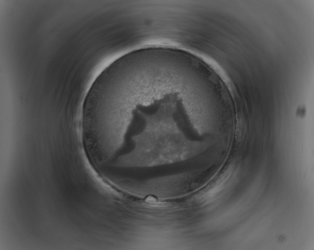 X0000101151295200807071140