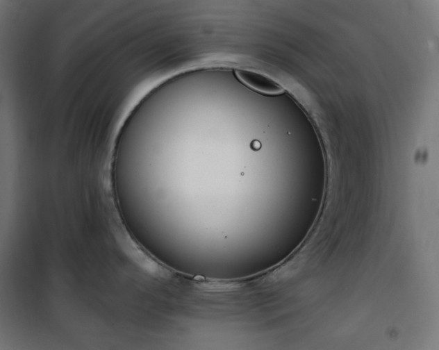 X0000101151296200807071140