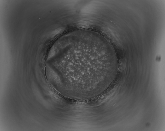 X0000101151297200807071139