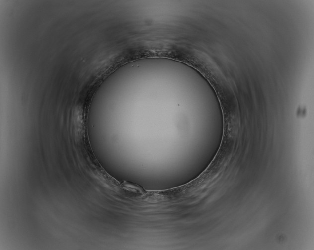 X0000101151298200807071139