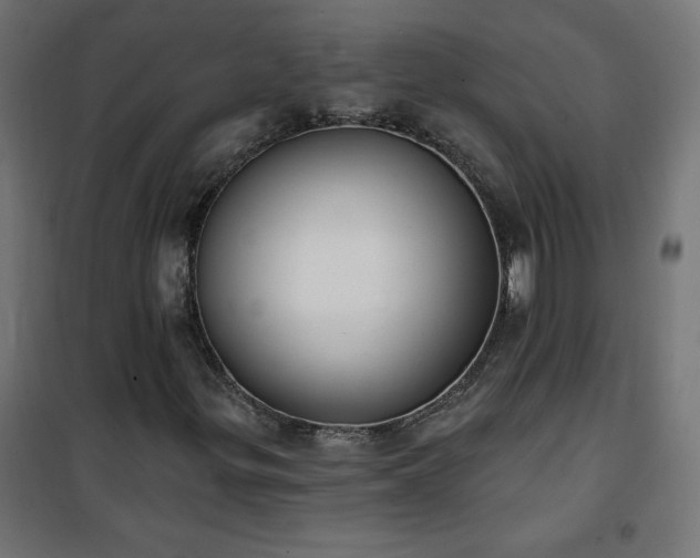 X0000101151299200807071139