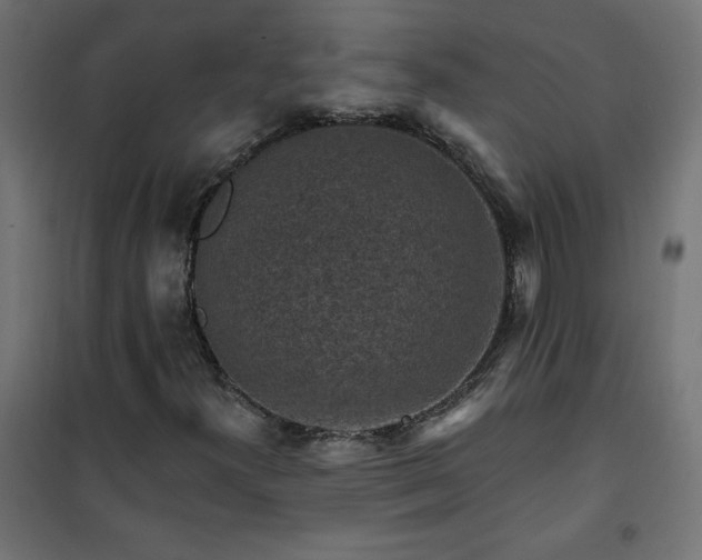 X0000101151300200807071140