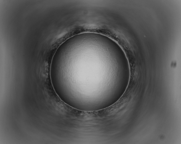 X0000101151301200807071140