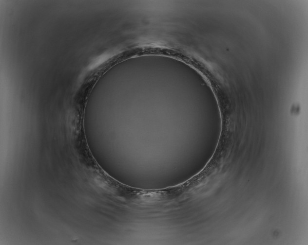 X0000101151303200807071140