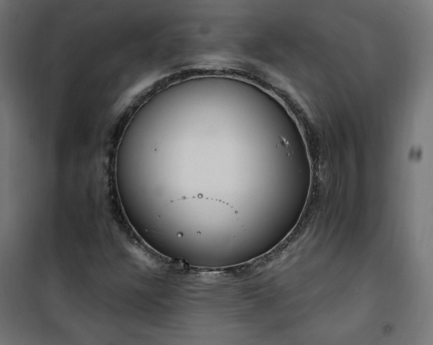 X0000101151304200807071140