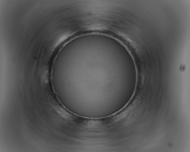 X0000101151306200807071140