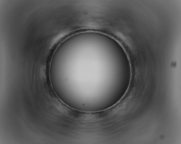 X0000101151307200807071140