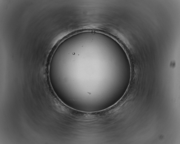 X0000101151308200807071140