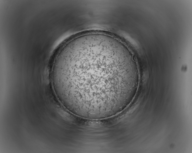 X0000101151310200807071140