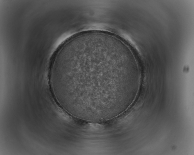 X0000101151312200807071140