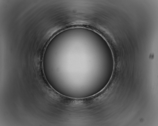 X0000101151313200807071140