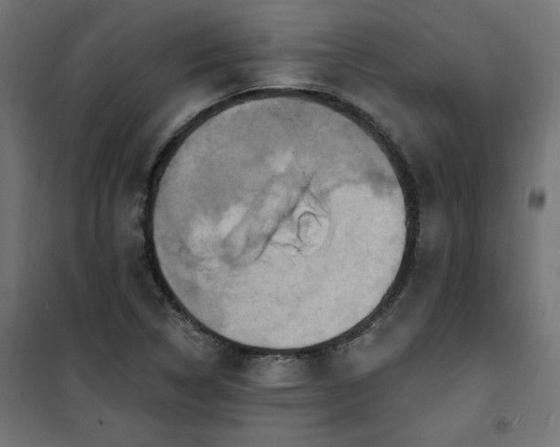 X0000101151314200807071140