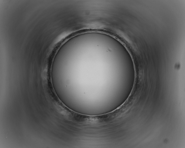 X0000101151315200807071140