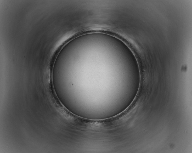 X0000101151317200807071140